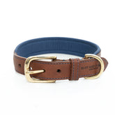 Morston Padded Leather Dog Collar - Navy